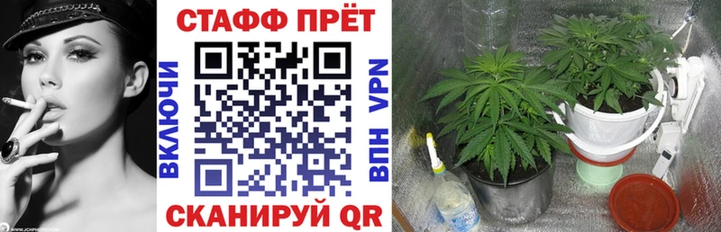 Купить наркотик аптеки Аша Гашиш  Марихуана  мега   МЕФ  COCAIN  A-PVP 